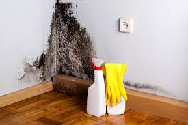 Best Water Damage & Mold Remediation  in Dawson, TX